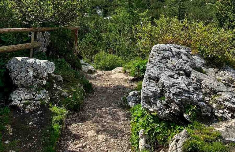 Protegiendo nuestro patrimonio natural: Análisis de la nueva ley de conservación ambiental